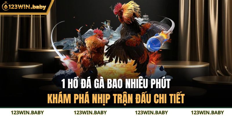 1 Hồ Đá Gà Bao Nhiêu Phút - Khám Phá Nhịp Trận Đấu Chi Tiết 3 1 Hồ Đá Gà Bao Nhiêu Phút