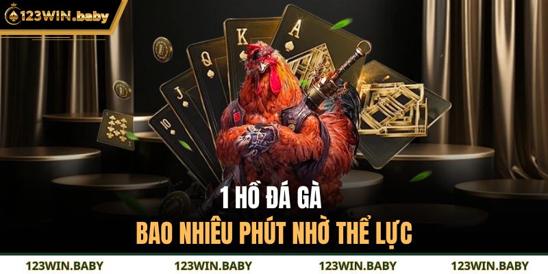 1 Hồ Đá Gà Bao Nhiêu Phút - Khám Phá Nhịp Trận Đấu Chi Tiết 2 1 hồ đá gà bao nhiêu phút nhờ thể lực