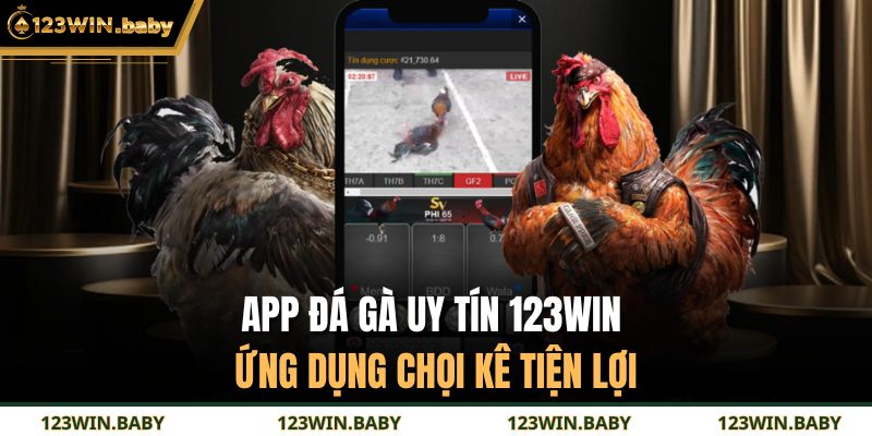 App Đá Gà Uy Tín 123WIN - Ứng Dụng Chọi Kê Tiện Lợi 1 App Đá Gà Uy Tín 123WIN
