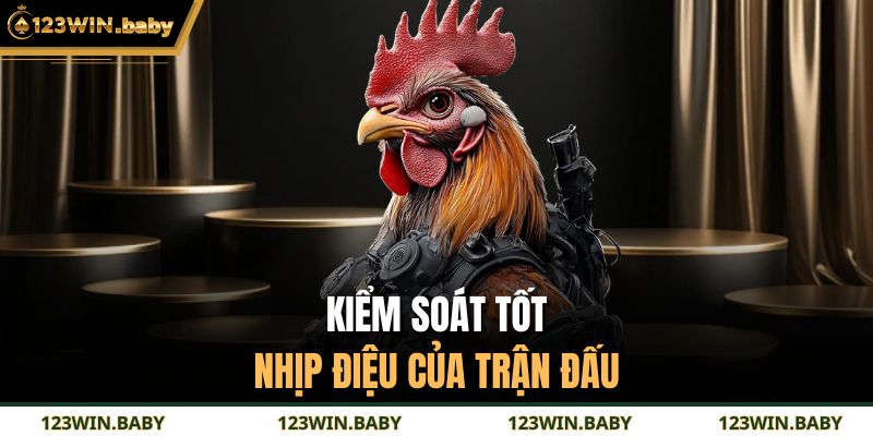 Đá Gà Tre 123WIN - Hình Thức Chọi Kê Trực Tuyến Hấp Dẫn 4 Kiểm soát tốt nhịp điệu của trận đấu