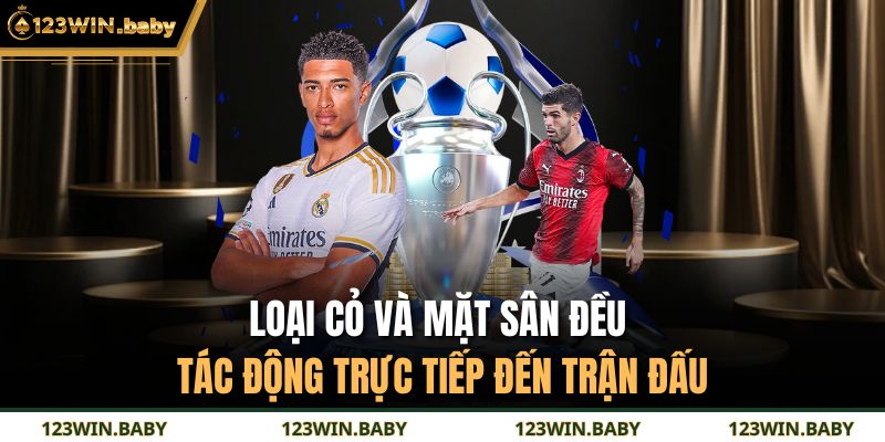 Loại cỏ và mặt sân đều tác động trực tiếp đến trận đấu