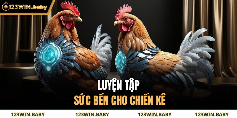 Đá Gà Campuchia - Trải Nghiệm Kỹ Thuật Và Nhịp Điệu Đỉnh Cao 4 Luyện tập sức bền cho chiến kê