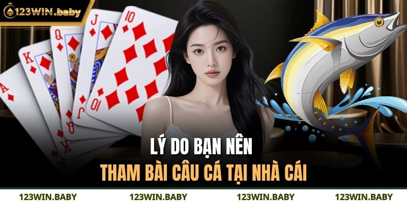 Lý do bạn nên tham bài câu cá tại nhà cái