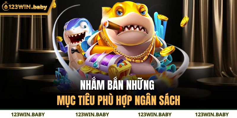Nhắm bắn những mục tiêu phù hợp ngân sách