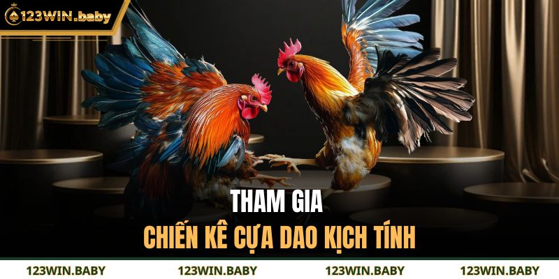 Đá Gà Campuchia - Trải Nghiệm Kỹ Thuật Và Nhịp Điệu Đỉnh Cao 3 Tham gia chiến kê cựa dao kịch tính