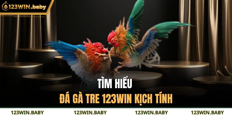 Đá Gà Tre 123WIN - Hình Thức Chọi Kê Trực Tuyến Hấp Dẫn 2 Tìm hiểu đá gà tre 123WIN kịch tính