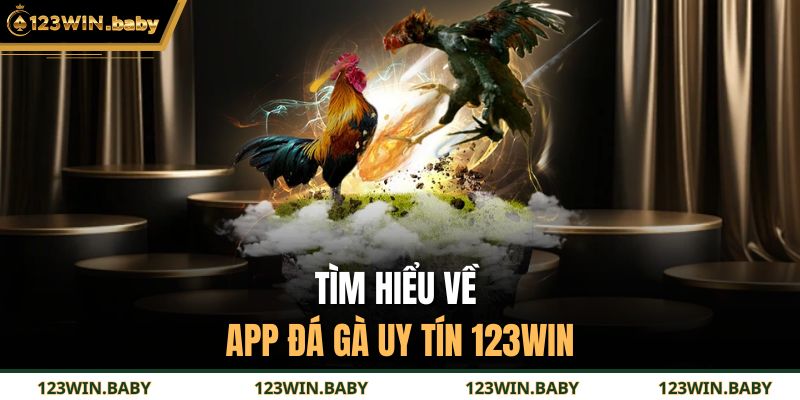 Tìm hiểu về app đá gà uy tín 123WIN
