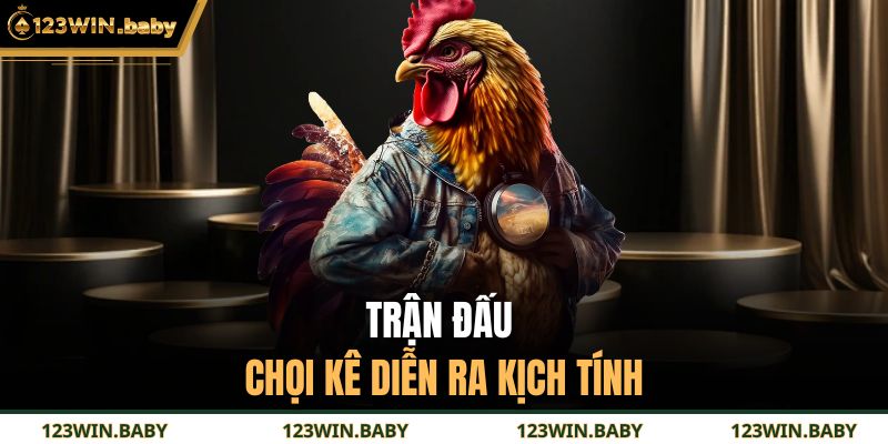 Đá Gà Tre 123WIN - Hình Thức Chọi Kê Trực Tuyến Hấp Dẫn 3 Trận đấu chọi kê diễn ra kịch tính